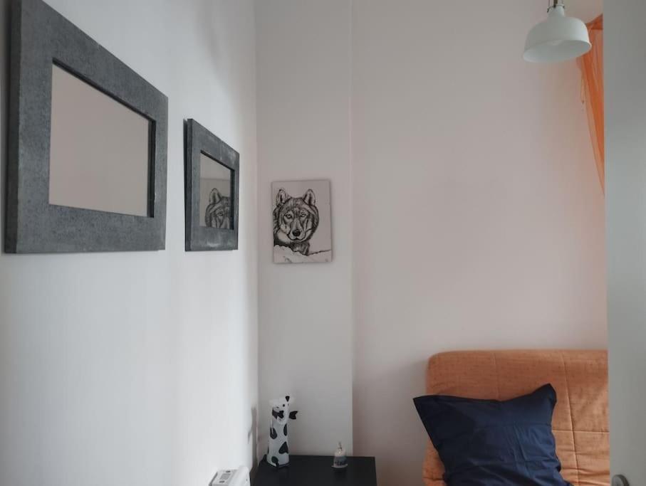 Appartement En Plein Centre. Carpentras Kültér fotó